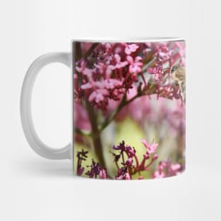 Honey Bees & Pink / Swiss Artwork Photography Mug